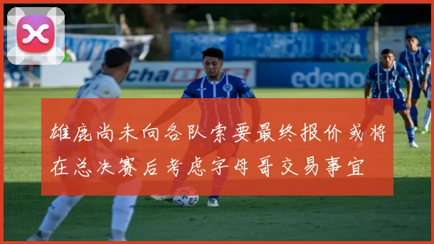 雄鹿尚未向各队索要最终报价或将在总决赛后考虑字母哥交易事宜